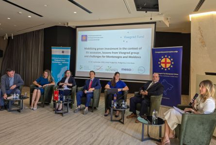 Mobilizarea investițiilor verzi în contextul aderării la UE: lecții din experiența statelor Grupului de la Vișegrad și provocări pentru Muntenegru și Republica Moldova