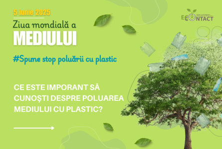 Ziua mondială a Mediului 2025: Spune nu poluării cu plastic