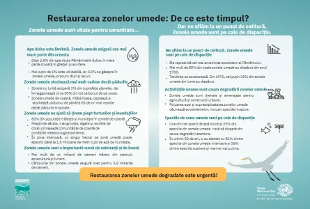 Restabilirea Zonelor Umede – sloganul Zilei mondiale a zonelor umede 2023