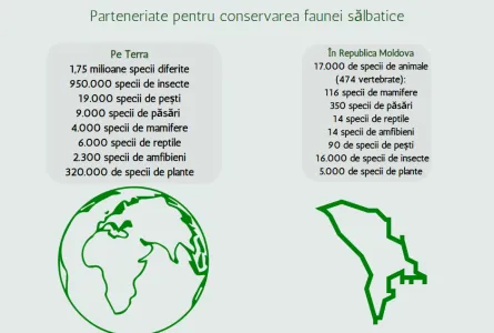 Ziua Mondială a Vieții Sălbatice 2023 - Parteneriate pentru conservarea vieții sălbatice