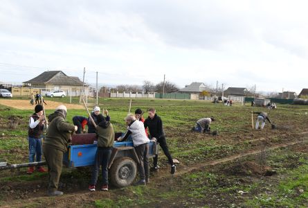 Dintr-o râpă cu gunoi într-un spațiu verde, cu tei și castani: Talmaza își crează propriul loc de suflet