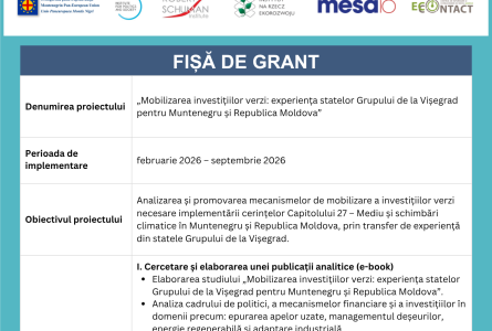 Mobilizarea investițiilor verzi: experiența statelor Grupului de la Vișegrad pentru Muntenegru și Republica Moldova