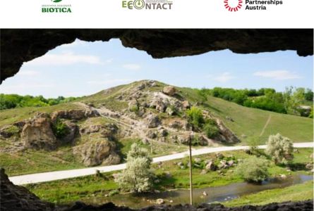 Ghid de elaborare a planurilor de management pentru arii naturale protejate – un instrument pentru manageri și echipe de experți pentru organizarea procesului de planificare în contextul schimbărilor