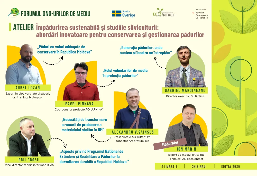 5 &Icirc;mpădurirea Sustenabilă