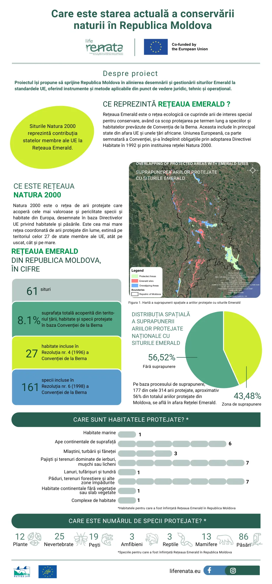 Life Renata Infographic