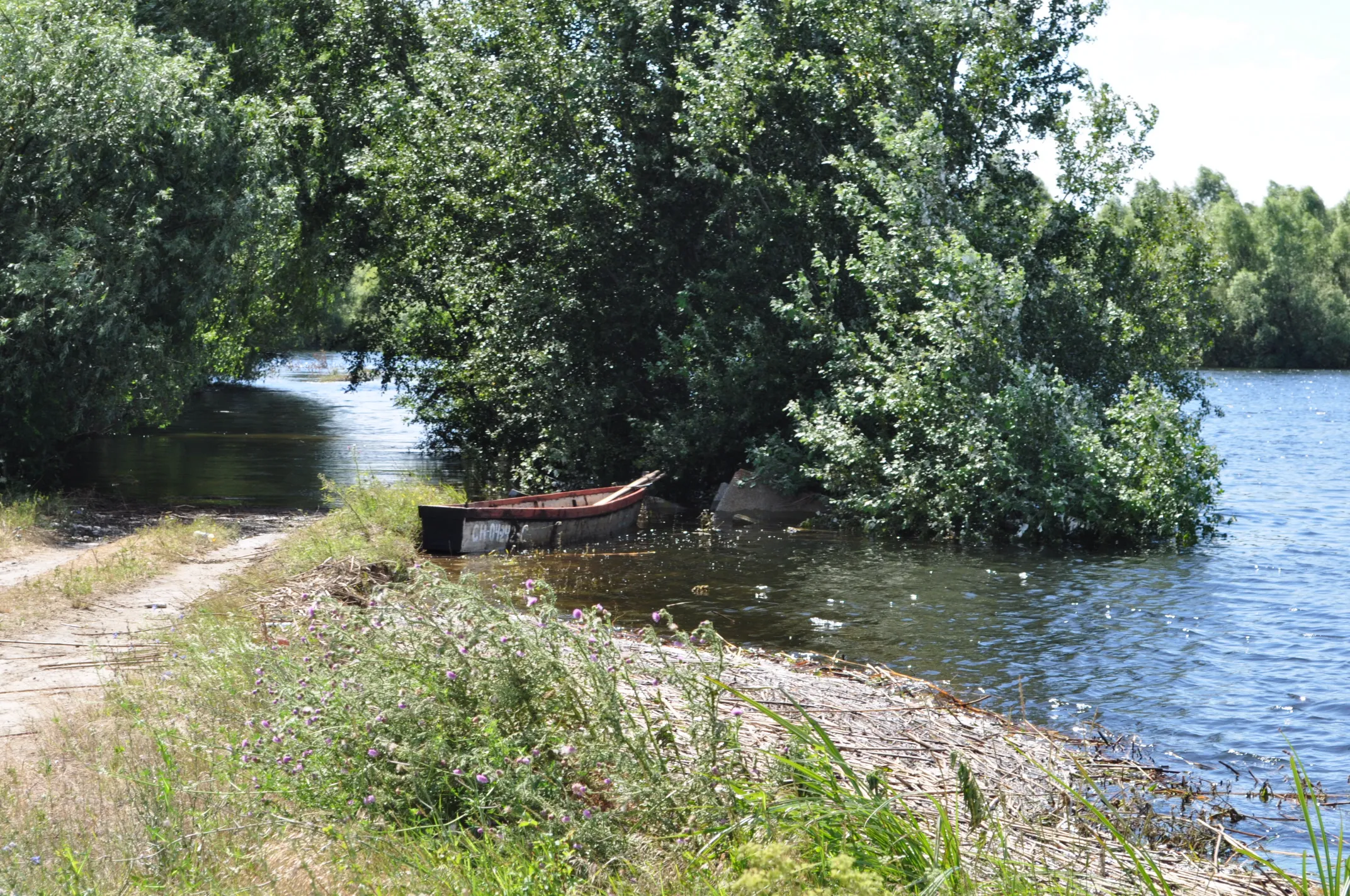 Dsc 0467