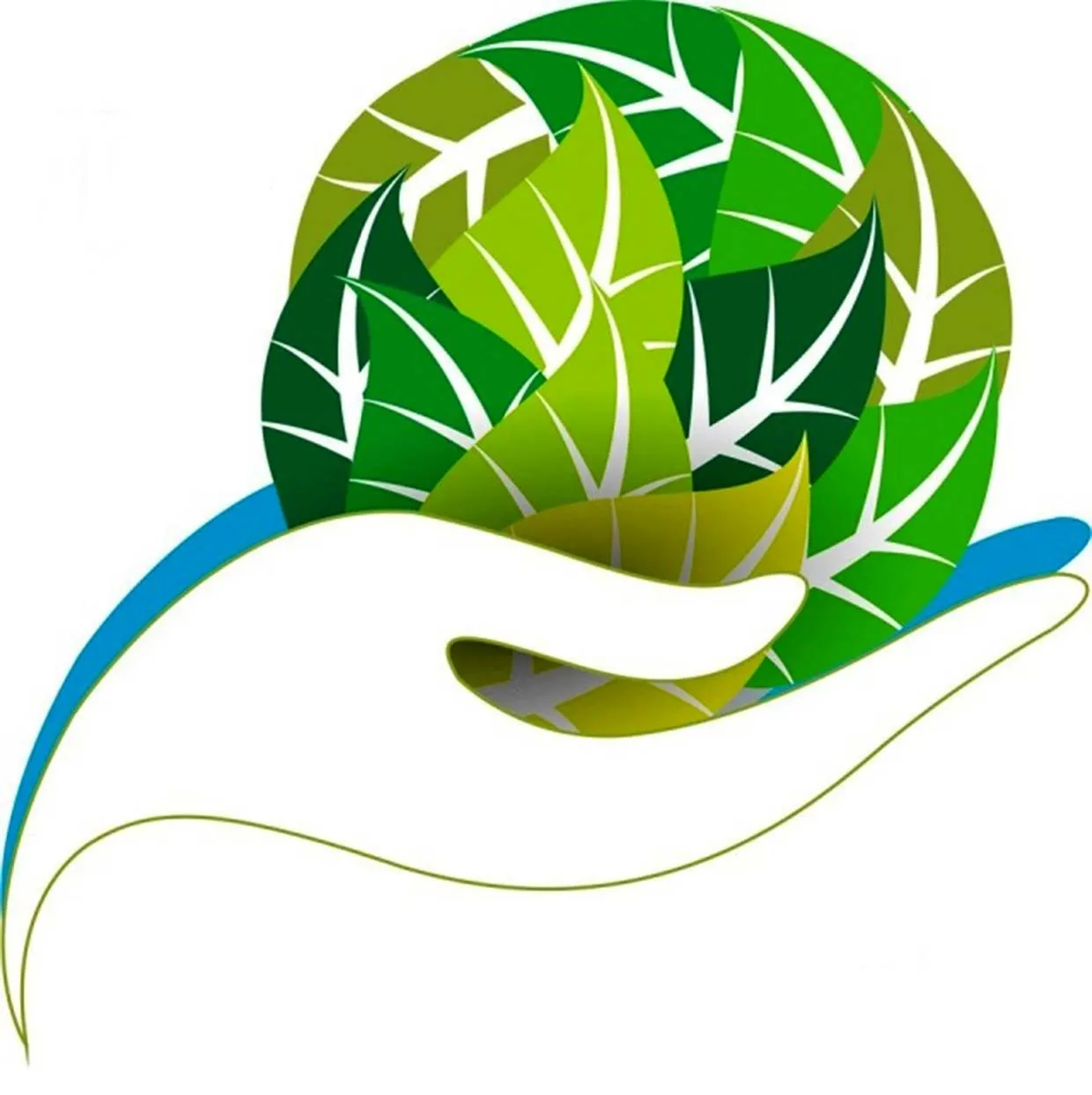 Ecocontact