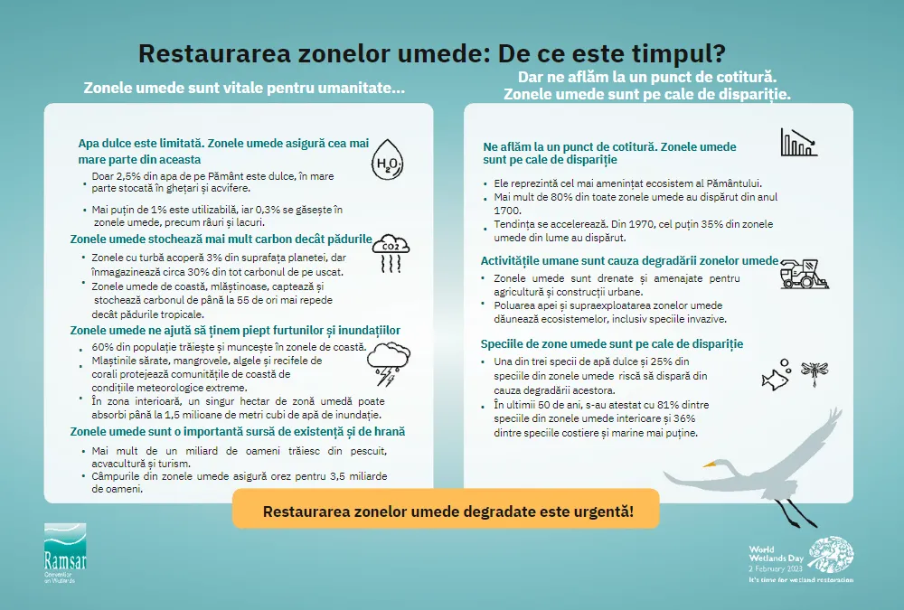 Wwd2023 Infographics En Print1.pdf Rom Site