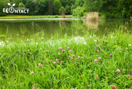 21 mai: Ziua rețelei europene Natura 2000