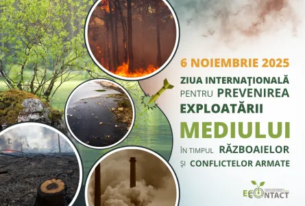 Ziua internațională pentru prevenirea exploatării mediului în timpul războaielor și conflictelor armate - 2025