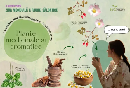 Ziua mondială a faunei sălbatice 2026:  Plante medicinale și aromatice – „Conservarea sănătății, patrimoniului și mijloacelor de trai”