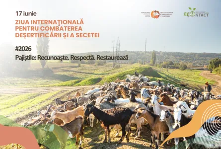 Ziua Mondială pentru Combaterea Deșertificării și a Secetei 2026 pune pajiștile în centrul atenției. Moldova are, din acest an, reguli noi pentru protecția pășunilor