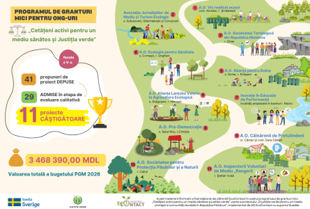 11 organizații neguvernamentale vor implementa proiecte de mediu și justiție verde în comunitățile lor, cu suportul Suediei
